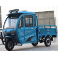 Triciclo de automóvil rickshaw eléctrico para el paso